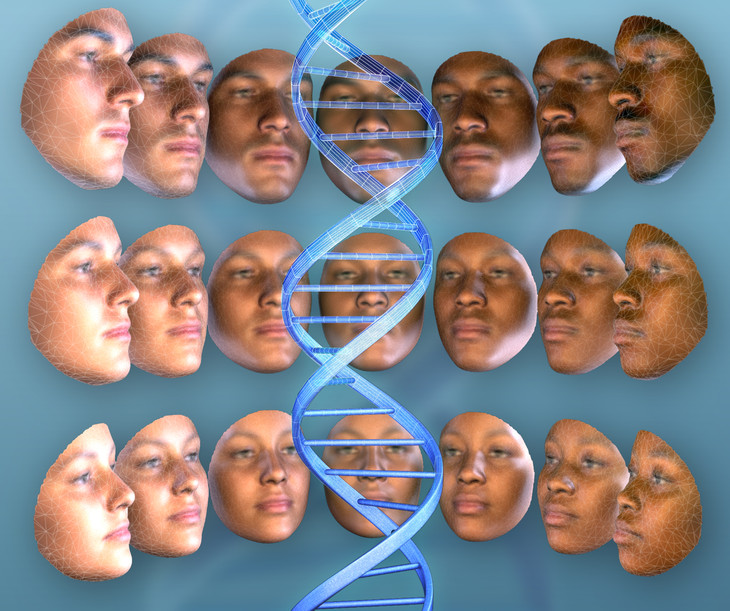 DNA Facial Recognition Maps Face Traits.