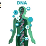 DNA in Humans