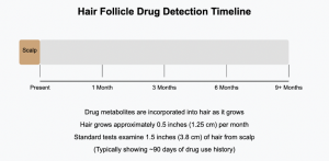 How To Pass A Hair Follicle Drug Test Choice Dna