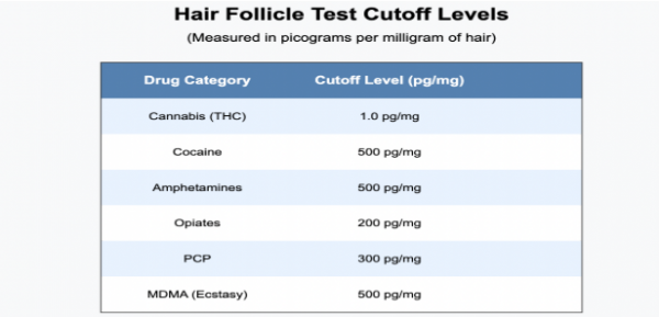 How to Pass a Hair Follicle Drug Test - Choice DNA