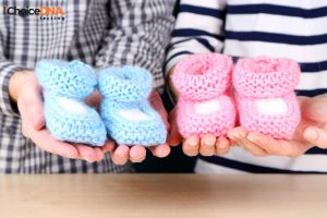 NIPT Test Gender for Twins