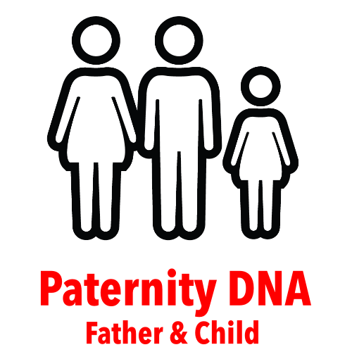 Paternity DNA