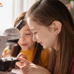 Siblings Have the Same DNA Results on Tests