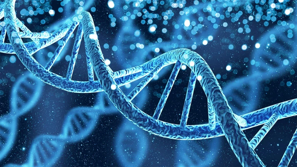 Structure Of DNA