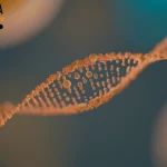 dna replication process