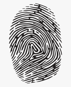 fingerprint appt