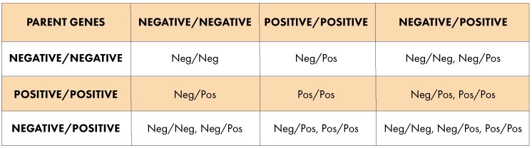 negative positive chart